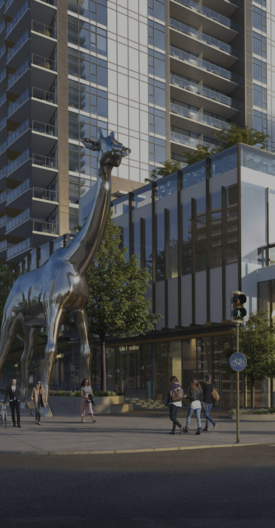 Slide 7 Mobile Image