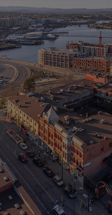 Slide 8 Mobile Image