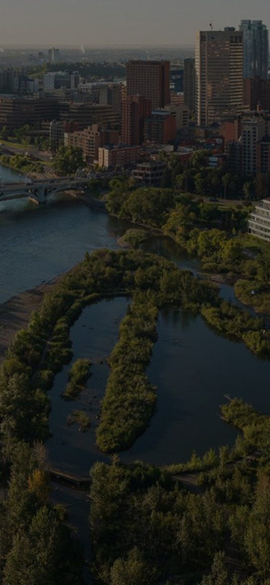 Slide 1 Mobile Image